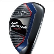 BIG BERTHA(2014) BETA