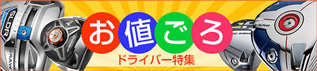 ͤɥ饤Сý